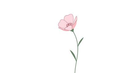 Obraz premium A delicate illustration of a single pink wildflower with gently curved petals and a slender green stem against a clean white background.