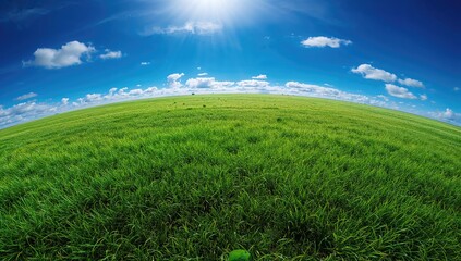 Lush green grass covering the ground, a natural landscape promoting outdoor activities