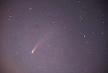 C/2025A6 レモン彗星