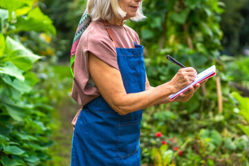 Senior woman gardening planning outdoor activity in garden
