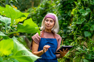 Senior woman using tablet for smart farming in garden
