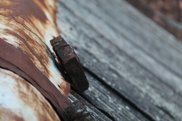 Close-up of a rusty metal hinge on weathered wood, showing aged textures and natural decay. Ideal for themes of deterioration, vintage materials, craftsmanship, and rustic surfaces