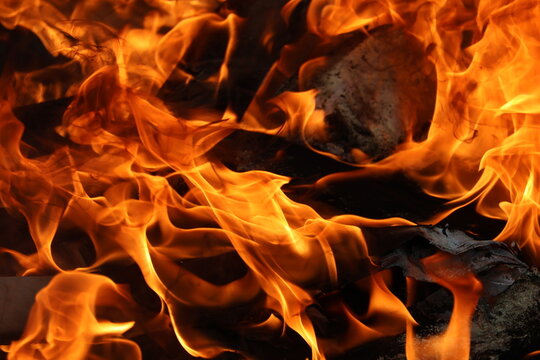 Real orange flame isolated, burning hot texture for digital art, photo editing and design overlays, dynamic energy concept.