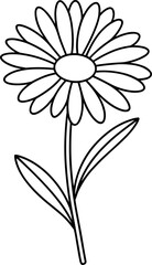  Daisy flower illustration on a black background