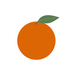 Oranges fruit illustration