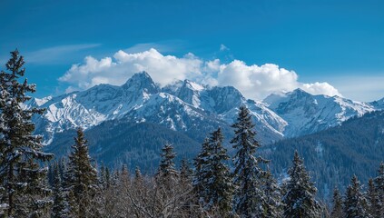 Fototapeta premium Snowy mountain peaks with green trees in the foreground, seasonal change