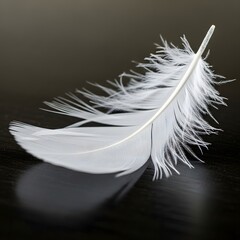 Close-up of a delicate white feather resting on a dark reflective surface, highlighting its intricate structure and soft texture in a minimalistic setting