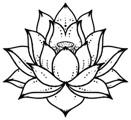 A black and white line drawing of a lotus flower, black, design, draw, drawing, flower, illustration, lotus, mandala, petal, symbol, tattoo, against transparent background