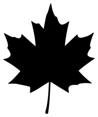 A black and white silhouette of a maple leaf, black, icon, illustration, leaf, maple, maple leaf, profile, against transparent background