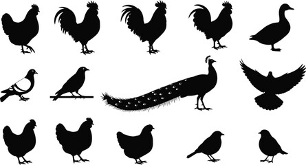 Collection of farm animal silhouettes including sheep dog horse cow pig chicken goat duck and rabbit © MST HAFSA