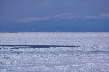 北海道　浜小清水からの流氷と知床連山  © osap1111