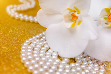 A branch of white orchids on a shiny gold background
