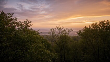 Fototapeta premium Celle's dawn light illuminating the landscape, seasonal change