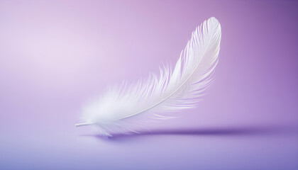 Obraz premium Single white ostrich feather floats on gradient purple background. Soft fluffy texture and light delicate structure convey purity and grace