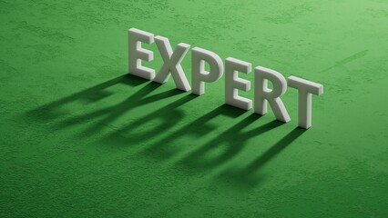 shadow of 3d charcaters with EXPERT business word. Mission, Vision and core values concept.close up of shadow of 3d charcaters,Business Concept.3D rendering.