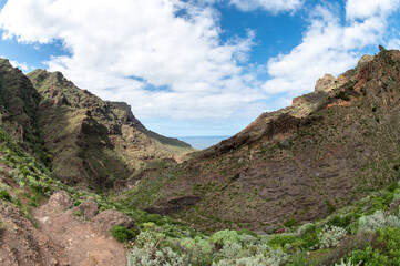 Trail through rocky landscape and greenery in north Tenerife, Canary Islands