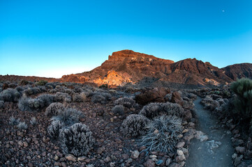 Hiking in deserted landscapes of Teide National Park, Tenerife, Canary Islands