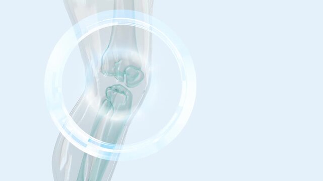 Treat bones and knee joints, increase knee collagen, 3D rendering image