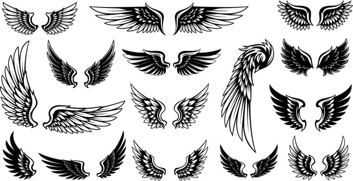 Collection of diverse black and white grunge style angel wings and feather designs