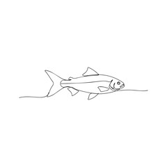 Fish Continuous Line Art