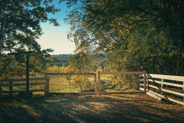 The garden of a rural household in central Serbia