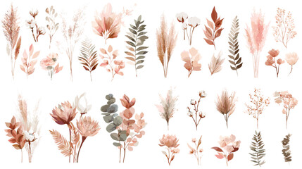 Delicate watercolor botanical clipart with blush florals, pampas, eucalyptus, and leaves in neutral tones. Ideal for wedding stationery, patterns, wall art, and branding.