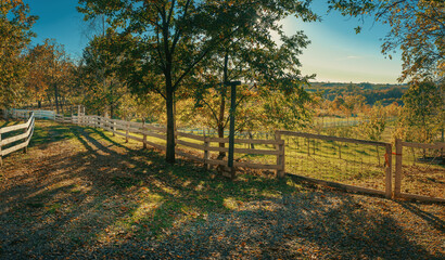 The garden of a rural household in central Serbia