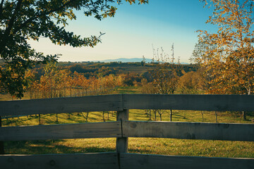The garden of a rural household in central Serbia