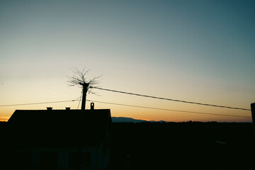Abandoned stork nest on a pole