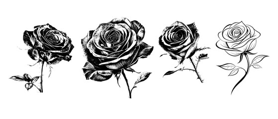 set of 4 rose flower icon silhouettes. with dust noise effect in transparent background.