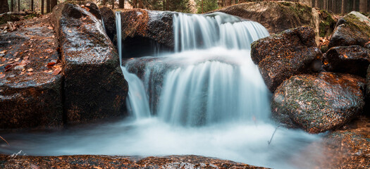 Leśny strumyk, potok, las , drzewa, natura, mech, kamienie, skały, 
