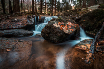 Leśny strumyk, potok, las , drzewa, natura, mech, kamienie, skały,  © Adrian Jaśpiński