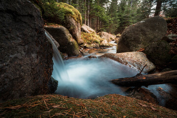 Leśny strumyk, potok, las , drzewa, natura, mech, kamienie, skały,  © Adrian Jaśpiński