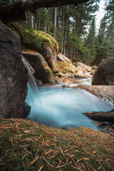 Leśny strumyk, potok, las , drzewa, natura, mech, kamienie, skały,  © Adrian Jaśpiński