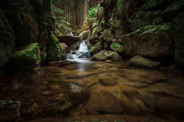 Leśny strumyk, potok, las , drzewa, natura, mech, kamienie, skały,  © Adrian Jaśpiński