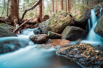 Leśny strumyk, potok, las , drzewa, natura, mech, kamienie, skały, 