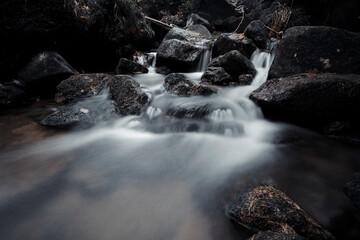 Leśny strumyk, potok, las , drzewa, natura, mech, kamienie, skały, 