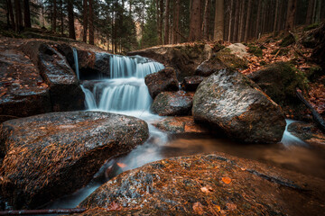 Leśny strumyk, potok, las , drzewa, natura, mech, kamienie, skały, 