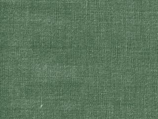 Fototapeta premium forest green blank canvas