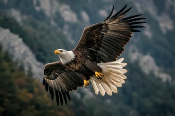 Obraz premium A bald eagle with its wings fully extended glides gracefully above rugged mountains, showcasing its sharp talons. The majestic bird captures the essence of freedom in the early morning light