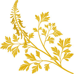 yellow fumitory with leaves