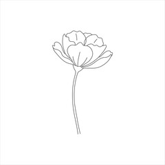 Simple line drawing of a delicate blooming flower