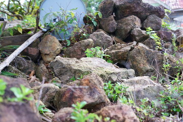 Rock Podium stand display product