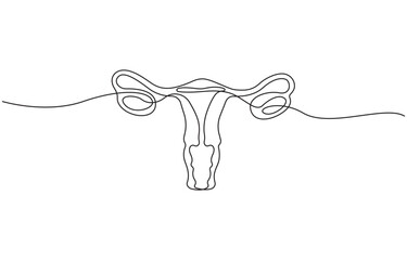 Women uterus continuous one line drawing of fallopian tubes modern style outline vector illustration, Editable stroke on transparent background.