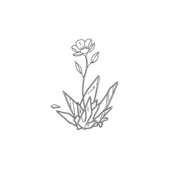 Delicate blossom growing from raw crystal formation