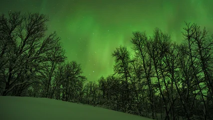 Fototapete Rund Polarkreis Northern Lights inna snowy forest. Norway  © Hortigüela