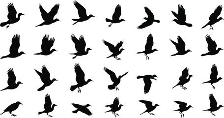 Bird flight silhouette cartoon illustration, expressive wing posture and symbolic motion artwork for design, decor, and education