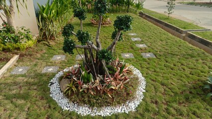 Well-Maintained Lawn with Ornamental Plants and Pebble Pathway