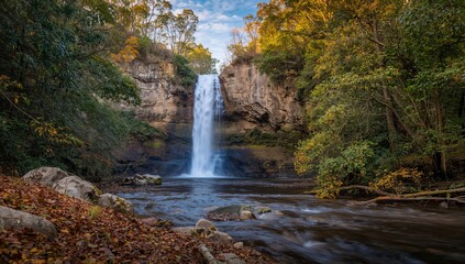 Watts River flowing near Maroondah Falls, highlighting seasonal change