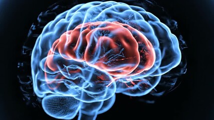 A glowing blue human brain with a highlighted red central area, depicted as a translucent 3D rendering on a dark background. - Powered by Adobe